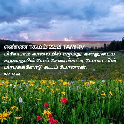 Picture 02 - எண்ணாகமம் 22:21 TAMIRV - பிலேயாம் காலையில் - Bible Verse Picture