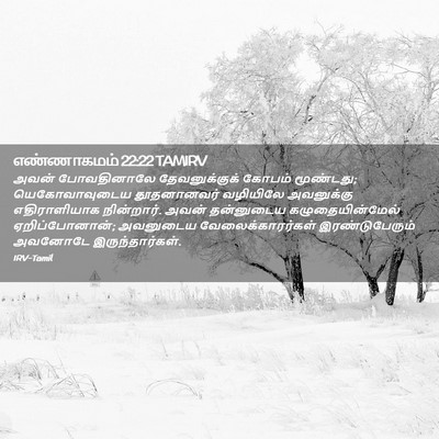 Picture 02 - எண்ணாகமம் 22:22 TAMIRV - அவன் போவதினாலே - Bible Verse Picture