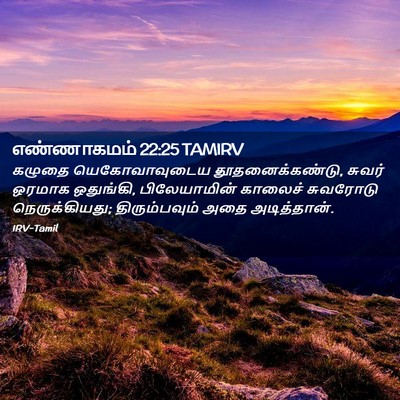 Picture 02 - எண்ணாகமம் 22:25 TAMIRV - கழுதை யெகோவாவுடைய - Bible Verse Picture