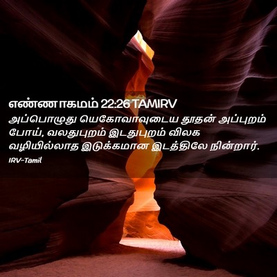Picture 02 - எண்ணாகமம் 22:26 TAMIRV - அப்பொழுது - Bible Verse Picture