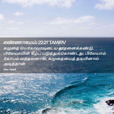 Picture 02 - எண்ணாகமம் 22:27 TAMIRV - கழுதை யெகோவாவுடைய - Bible Verse Picture