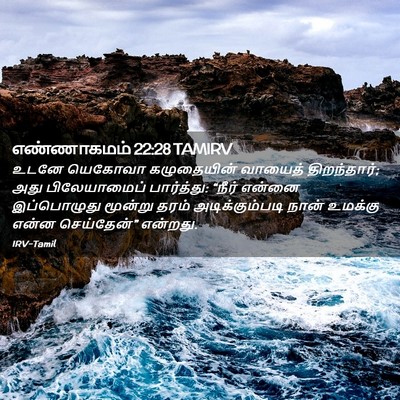 Picture 02 - எண்ணாகமம் 22:28 TAMIRV - உடனே யெகோவா - Bible Verse Picture