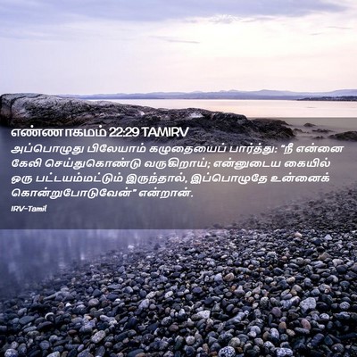 Picture 02 - எண்ணாகமம் 22:29 TAMIRV - அப்பொழுது - Bible Verse Picture