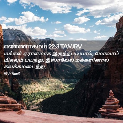 Picture 02 - எண்ணாகமம் 22:3 TAMIRV - மக்கள் ஏராளமாக - Bible Verse Picture