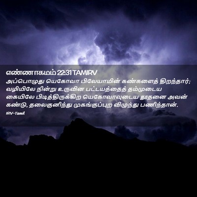 Picture 02 - எண்ணாகமம் 22:31 TAMIRV - அப்பொழுது யெகோவா - Bible Verse Picture
