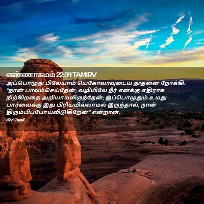 Picture 02 - எண்ணாகமம் 22:34 TAMIRV - அப்பொழுது - Bible Verse Picture
