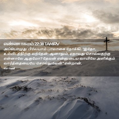 Picture 02 - எண்ணாகமம் 22:38 TAMIRV - அப்பொழுது - Bible Verse Picture