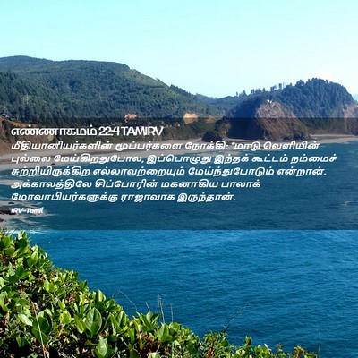 Picture 02 - எண்ணாகமம் 22:4 TAMIRV - மீதியானியர்களின் - Bible Verse Picture