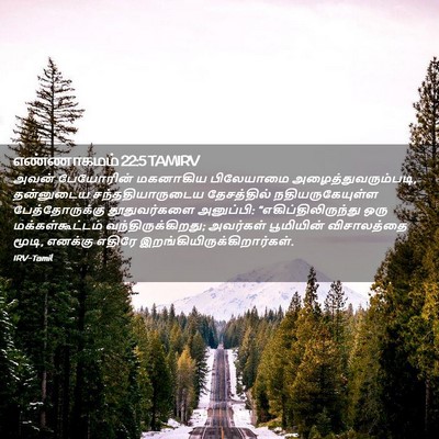 Picture 02 - எண்ணாகமம் 22:5 TAMIRV - அவன் பேயோரின் - Bible Verse Picture