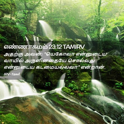 Picture 02 - எண்ணாகமம் 23:12 TAMIRV - அதற்கு அவன்: - Bible Verse Picture