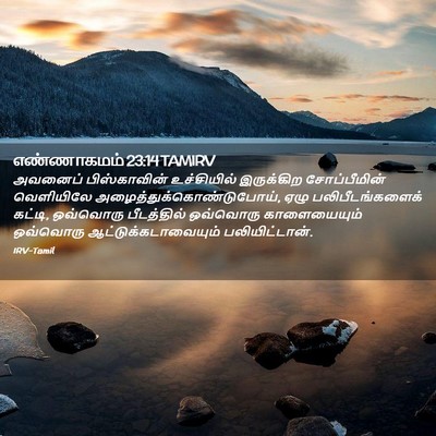 Picture 02 - எண்ணாகமம் 23:14 TAMIRV - அவனைப் பிஸ்காவின் - Bible Verse Picture