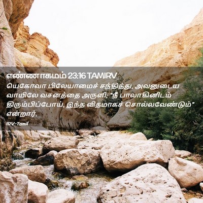 Picture 02 - எண்ணாகமம் 23:16 TAMIRV - யெகோவா பிலேயாமைச் - Bible Verse Picture