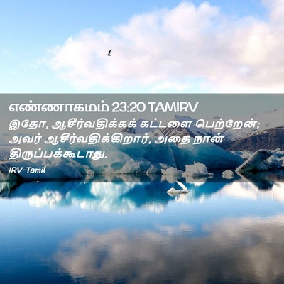 Picture 02 - எண்ணாகமம் 23:20 TAMIRV - இதோ, - Bible Verse Picture