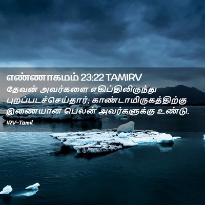 Picture 02 - எண்ணாகமம் 23:22 TAMIRV - தேவன் அவர்களை - Bible Verse Picture