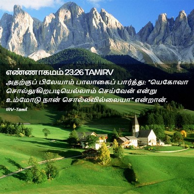 Picture 02 - எண்ணாகமம் 23:26 TAMIRV - அதற்குப் பிலேயாம் - Bible Verse Picture