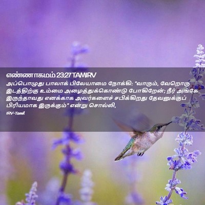 Picture 02 - எண்ணாகமம் 23:27 TAMIRV - அப்பொழுது பாலாக் - Bible Verse Picture