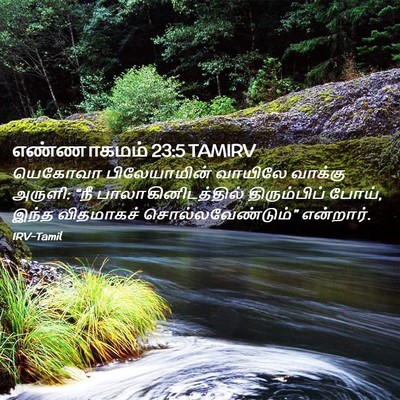 Picture 02 - எண்ணாகமம் 23:5 TAMIRV - யெகோவா பிலேயாமின் - Bible Verse Picture