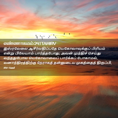 Picture 02 - எண்ணாகமம் 24:1 TAMIRV - இஸ்ரவேலை - Bible Verse Picture