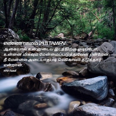 Picture 02 - எண்ணாகமம் 24:11 TAMIRV - ஆகையால் உன்னுடைய - Bible Verse Picture