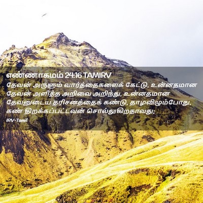 Picture 02 - எண்ணாகமம் 24:16 TAMIRV - தேவன் அருளும் - Bible Verse Picture