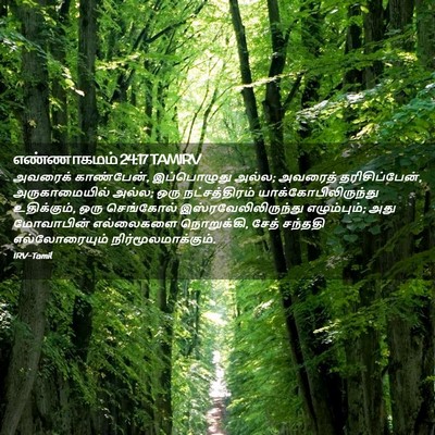 Picture 02 - எண்ணாகமம் 24:17 TAMIRV - அவரைக் காண்பேன், - Bible Verse Picture
