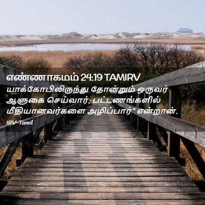 Picture 02 - எண்ணாகமம் 24:19 TAMIRV - யாக்கோபிலிருந்து - Bible Verse Picture