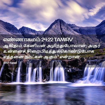Picture 02 - எண்ணாகமம் 24:22 TAMIRV - ஆகிலும் கேனியன் - Bible Verse Picture