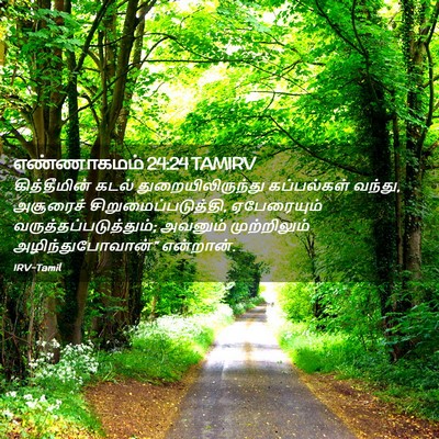 Picture 02 - எண்ணாகமம் 24:24 TAMIRV - கித்தீமின் கடல் - Bible Verse Picture