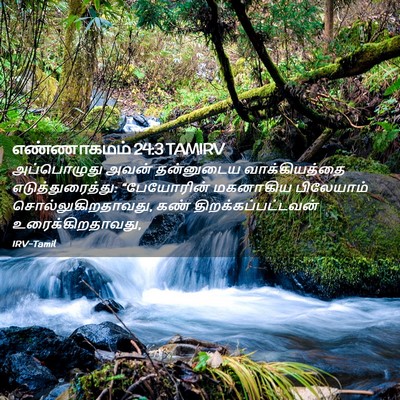 Picture 02 - எண்ணாகமம் 24:3 TAMIRV - அப்பொழுது அவன் - Bible Verse Picture