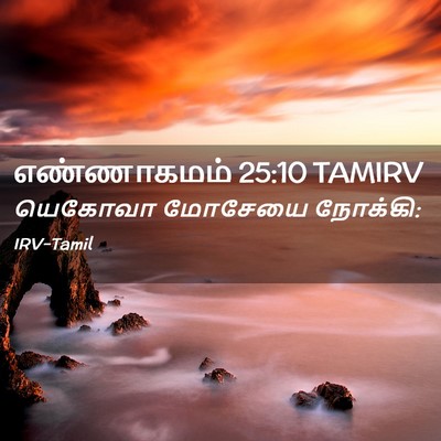 Picture 02 - எண்ணாகமம் 25:10 TAMIRV - யெகோவா மோசேயை - Bible Verse Picture