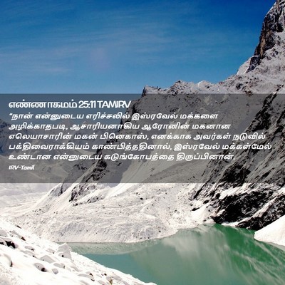 Picture 02 - எண்ணாகமம் 25:11 TAMIRV - “நான் என்னுடைய - Bible Verse Picture