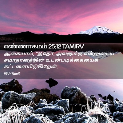 Picture 02 - எண்ணாகமம் 25:12 TAMIRV - ஆகையால், “இதோ, - Bible Verse Picture