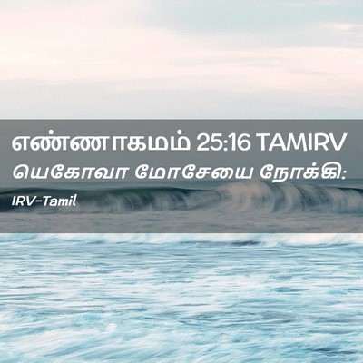 Picture 02 - எண்ணாகமம் 25:16 TAMIRV - யெகோவா மோசேயை - Bible Verse Picture