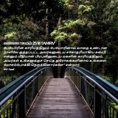 Picture 02 - எண்ணாகமம் 25:18 TAMIRV - பேயோரின் - Bible Verse Picture