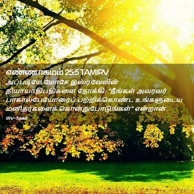 Picture 02 - எண்ணாகமம் 25:5 TAMIRV - அப்படியே மோசே - Bible Verse Picture