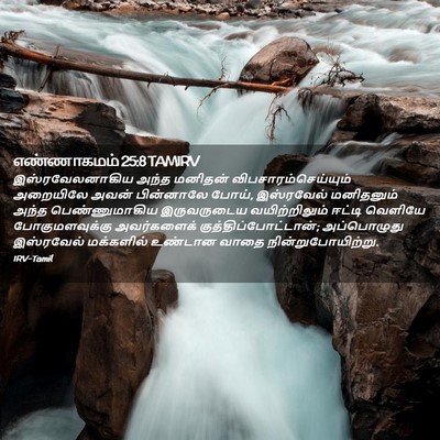 Picture 02 - எண்ணாகமம் 25:8 TAMIRV - இஸ்ரவேலனாகிய அந்த - Bible Verse Picture