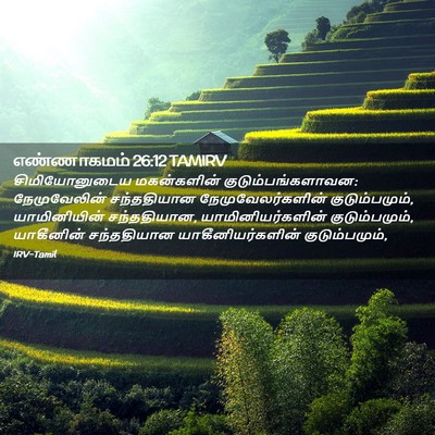 Picture 02 - எண்ணாகமம் 26:12 TAMIRV - சிமியோனுடைய - Bible Verse Picture