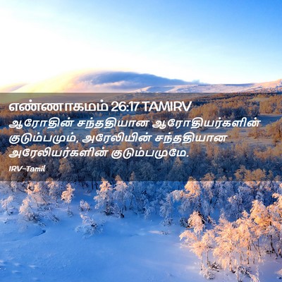 Picture 02 - எண்ணாகமம் 26:17 TAMIRV - ஆரோதின் சந்ததியான - Bible Verse Picture