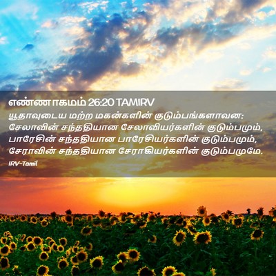 Picture 02 - எண்ணாகமம் 26:20 TAMIRV - யூதாவுடைய மற்ற - Bible Verse Picture