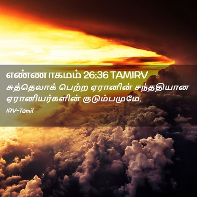 Picture 02 - எண்ணாகமம் 26:36 TAMIRV - சுத்தெலாக் பெற்ற - Bible Verse Picture