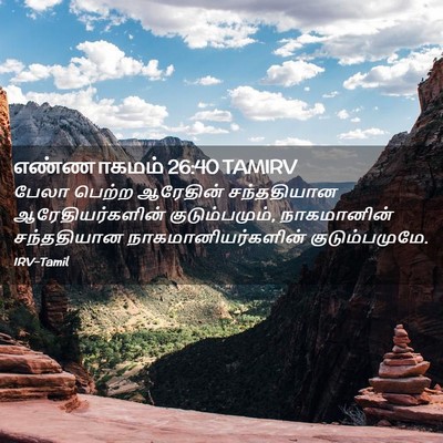Picture 02 - எண்ணாகமம் 26:40 TAMIRV - பேலா பெற்ற - Bible Verse Picture