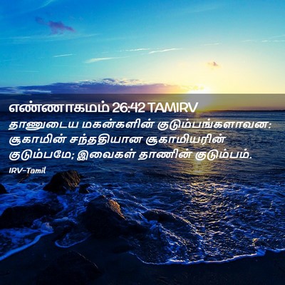 Picture 02 - எண்ணாகமம் 26:42 TAMIRV - தாணுடைய மகன்களின் - Bible Verse Picture