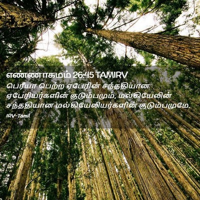 Picture 02 - எண்ணாகமம் 26:45 TAMIRV - பெரீயா பெற்ற - Bible Verse Picture