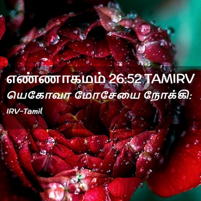 Picture 02 - எண்ணாகமம் 26:52 TAMIRV - யெகோவா மோசேயை - Bible Verse Picture