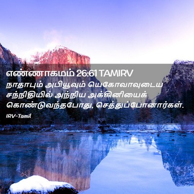 Picture 02 - எண்ணாகமம் 26:61 TAMIRV - நாதாபும் - Bible Verse Picture
