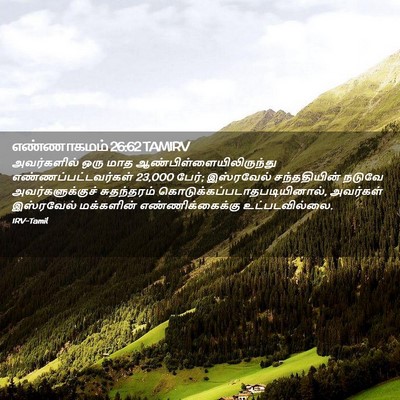 Picture 02 - எண்ணாகமம் 26:62 TAMIRV - அவர்களில் ஒரு மாத - Bible Verse Picture