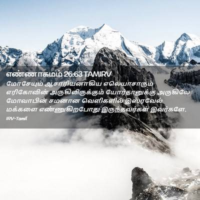 Picture 02 - எண்ணாகமம் 26:63 TAMIRV - மோசேயும் - Bible Verse Picture