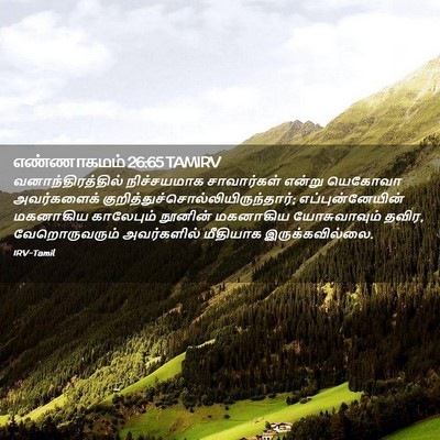 Picture 02 - எண்ணாகமம் 26:65 TAMIRV - வனாந்திரத்தில் - Bible Verse Picture