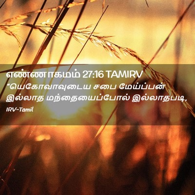Picture 02 - எண்ணாகமம் 27:16 TAMIRV - “யெகோவாவுடைய சபை - Bible Verse Picture