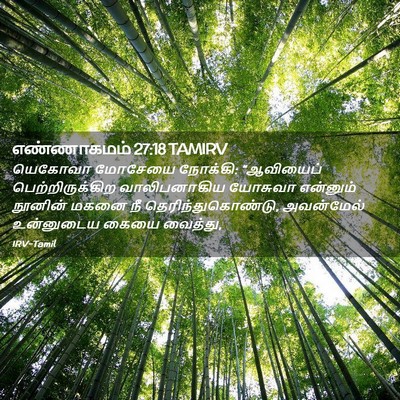 Picture 02 - எண்ணாகமம் 27:18 TAMIRV - யெகோவா மோசேயை - Bible Verse Picture